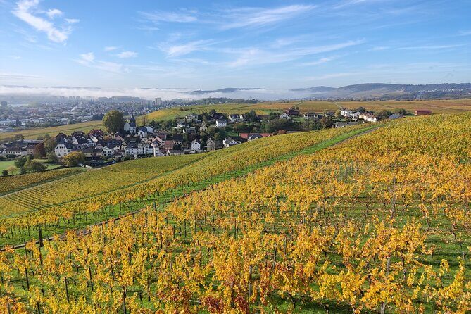 Private day trip to the Romantic Rhine Valley with river cruise and wine tasting - The Itinerary Breakdown