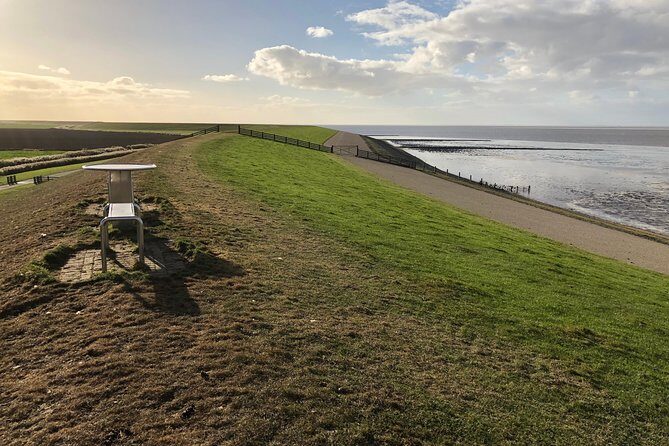 Private daytour from Amsterdam into the Countryside - What Travelers Say