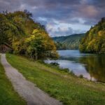 Private direct transfer: Basel to Zurich, English speaking driver - What Makes This Service Stand Out?