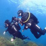 Private diving baptism in the Golf of Calvi - Price and Value