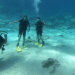 Private Diving Cyprus Experience Protaras and Ayia Napa & Turtles - Real Guest Experiences