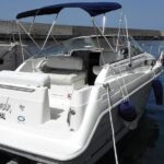 Private Dolphin and Whale Watching Tour in Madeira - Why This Tour Offers Good Value