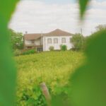 Private Douro Valley Tour with Lunch & Wines - What We Love About This Tour