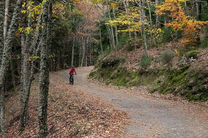 Private Ebike Tour through Serra da Estrela - The Cost and Value
