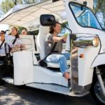 Private Electric Tuk Tuk Tour in Rome - What Travelers Say About This Tour