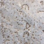 Private Ephesus Tour from Bodrum Port / Hotels - Final Thoughts