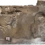 Private Exclusive VIP Tour of Positano, Pompeii & Mount Vesuvius - Who Will Love This Tour?