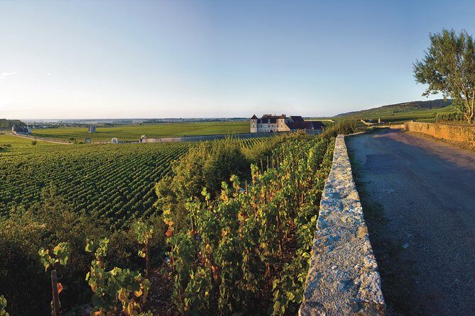 Private excursion to Côte de Beaune and Côte de Nuits (full day) - A Deep Dive into the Tour Experience
