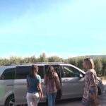 Private Excursion to Siena, San Gimignano and Chianti Landscapes - How the Experience Is Received