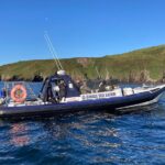 Private family sea safari - The Experience in Detail