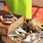 Private Fishing Tour From Athens With A Traditional Fishing Boat - The Fishing Equipment and Guidance