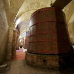 Private Food and Wine Tour in the Cellar with Tastings - Visiting Cantina Mazzarosa — More Than Just a Winery