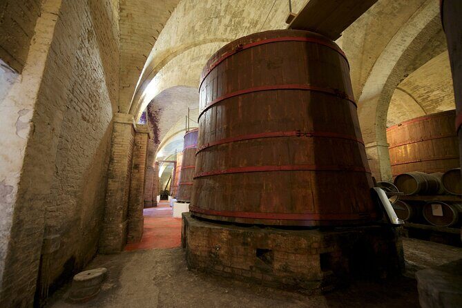 Private Food and Wine Tour in the Cellar with Tastings - Visiting Cantina Mazzarosa — More Than Just a Winery