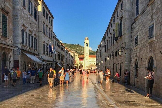 Private Full-day Dubrovnik and Ston Tour from Split - The Detailed Experience: What to Expect