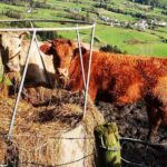 Private full day Faial, life on the island - Transport, Timing, and Group Size