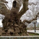 Private Full-Day Knossos-Lasithi Plateau-Cave of Zeus - The Itinerary Breakdown: What You’ll Actually Do