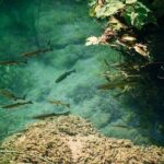 Private Full-Day Krka Waterfalls Tour with Wine Tasting - Discovering Krka National Park