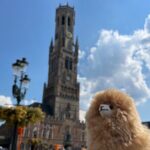 Private Full-Day Tour Bruges & Ghent from Brussels with tastings - Final Thoughts: Is This Tour Right for You?
