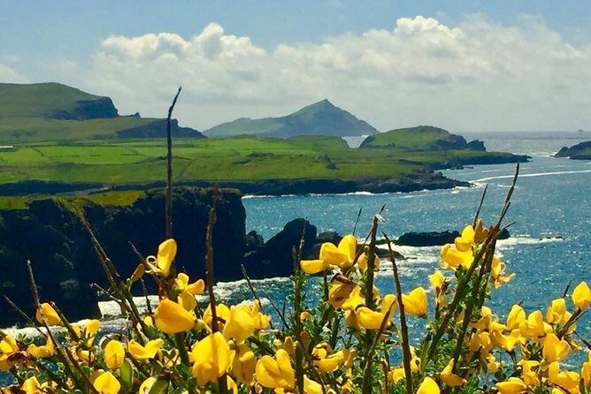 Private Full Day Tour From Killarney - Ring of Kerry/Skellig - Why Travelers Love This Tour