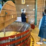 Private Full Day Tour to Champagne from Paris, Visit of 2 Champagne Producers - Champagne Taittinger: A Window into Elegance