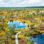 Private Full-Day Trip to Jurmala and Great Kemeri Bog Boardwalk - Who Is This Tour For?