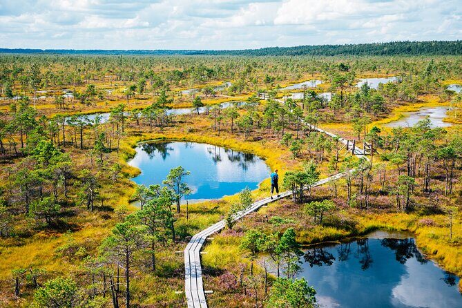 Private Full-Day Trip to Jurmala and Great Kemeri Bog Boardwalk - Who Is This Tour For?
