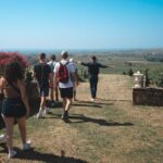 Private Full Day Wine and Food Tour from Lyon in Beaujolais - FAQs