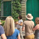 PRIVATE Full-Day Wine Experience in Chianti Classico. - An In-Depth Review of the Chianti Experience