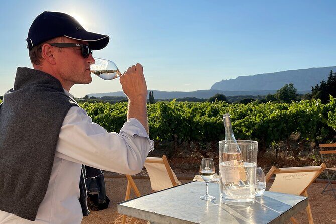 Private Full Day Wine Tour in Provence - The Experience: What Travelers Say