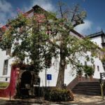 Private Funchal City Tour by Tukxi - The Experience: What Travelers Say