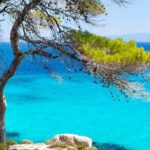(Private group)Swimming and relax in beautiful beaches. - Who Will Love This Tour?