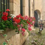 Private guided tour - Beaune 2h - Final Thoughts: Is This Tour Right for You?
