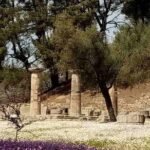 Private Guided Tour of the Archaeological Site and Museum of Olympia - The Museum of Olympia: Art and Artifacts