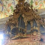 Private guided tour of the University of Coimbra - Ticket Included - Who Is This Tour Best For?