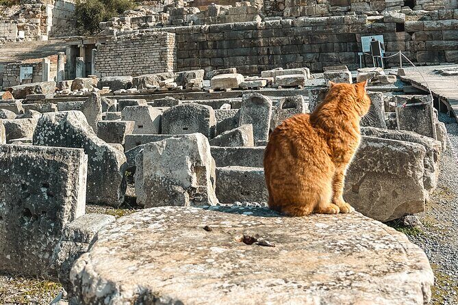 Private Half Day Ephesus Shore Excursion from Kusadasi - Who Should Consider This Tour?