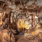 Private Half-day Kefalonia Highlights Tour - What Travelers Say