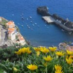 Private Half-Day Morning 4x4 Tour from Funchal - The Sum Up