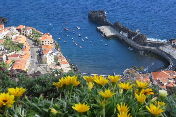 Private Half-Day Morning 4x4 Tour from Funchal - The Sum Up