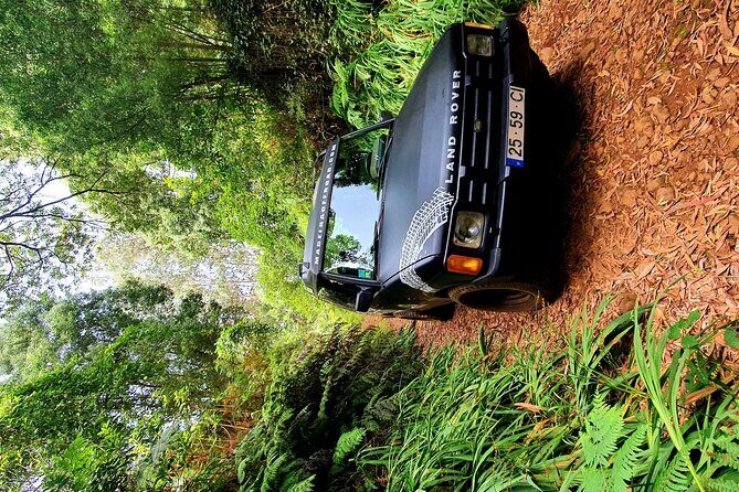 Private Half Day Off Road Tour in Madeira - The Off-Road Jeep Experience: Adventure & Comfort