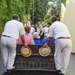 Private Half day tour around Madeira Island - Whats Included and What You Should Consider