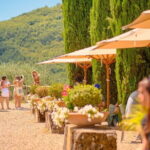 Private Half-Day Tour from Florence to Chianti Wine Region - Authentic Traveler Feedback