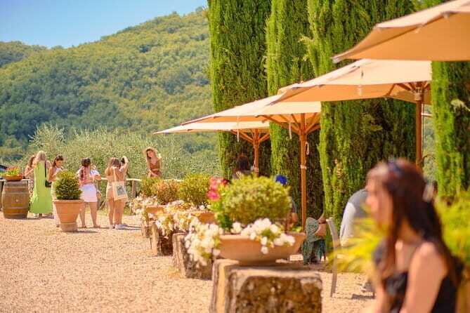 Private Half-Day Tour from Florence to Chianti Wine Region - Authentic Traveler Feedback