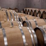 Private Half Day Txakoli Wine Tour & Getaria Fishing Village - Who Should Consider This Tour