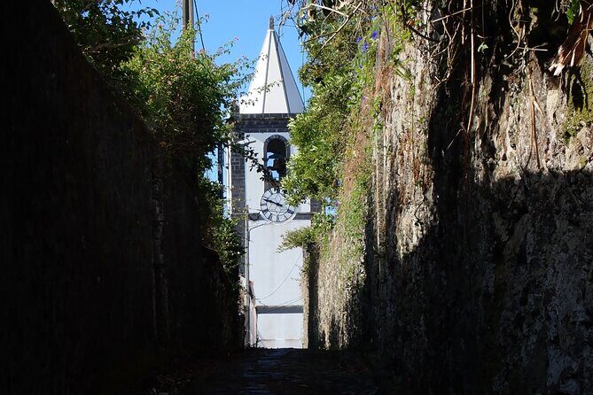 Private Half-Day Walking Tour of Horta Experience - Practical Details and What They Mean for You