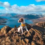 Private Harry Potter, Glenfinnan Viaduct, Highlands tour Glasgow - How the Tour Works in Practice