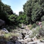 PRIVATE Hiking Walking GORGE nearby Hersonissos CRETE - Who This Tour Is Best For