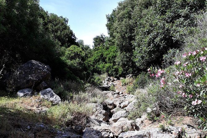 PRIVATE Hiking Walking GORGE nearby Hersonissos CRETE - Who This Tour Is Best For