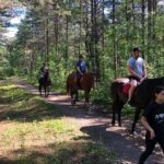 Private Horse Riding on the Beach in Riga - The Experience Itself: Highlights and Details