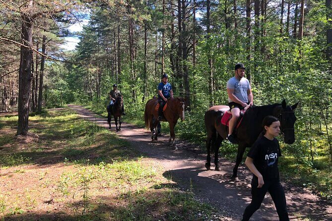 Private Horse Riding on the Beach in Riga - The Experience Itself: Highlights and Details