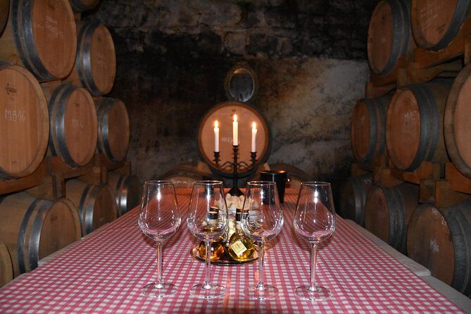 Private Hvar Wine Tasting Tour - The Wine and Olive Oil Tasting